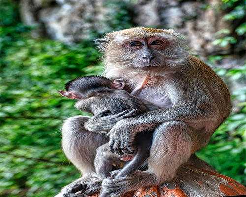 代孕妈妈婴儿取卵后应如何恢复卵巢功能？,国内代生供卵网&神州中泰代孕生个孩子有补贴吗