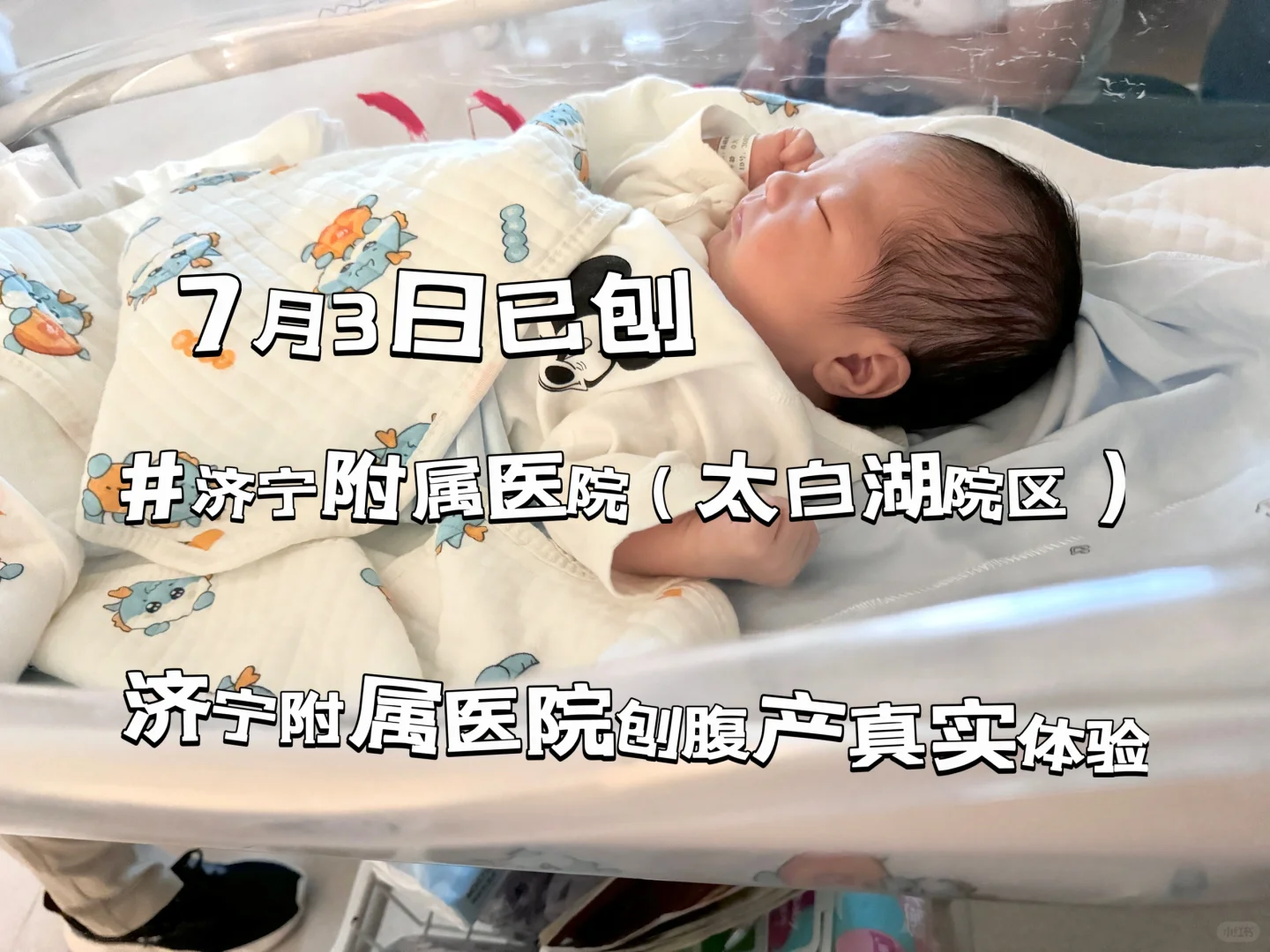 上海借卵生子价格一览：2026年供卵试管费用构成与影响因素