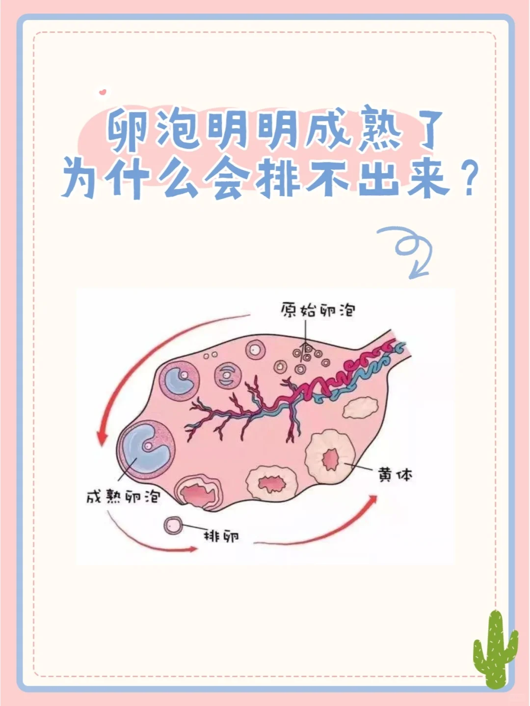卵泡明明成熟了，为什么会排不出来？,寻借腹代孕，做试管代孕成功率